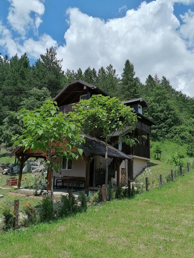 Villa Vikendica Moonlight Zaovine Exterior foto
